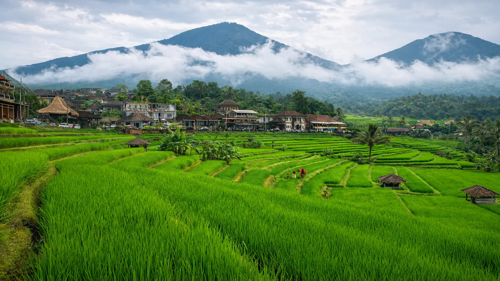 Indonesia destination image