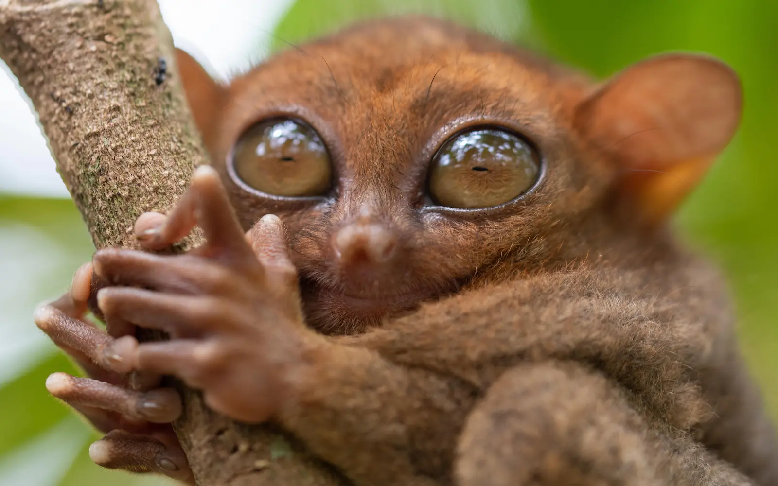 Philippines destination gallery