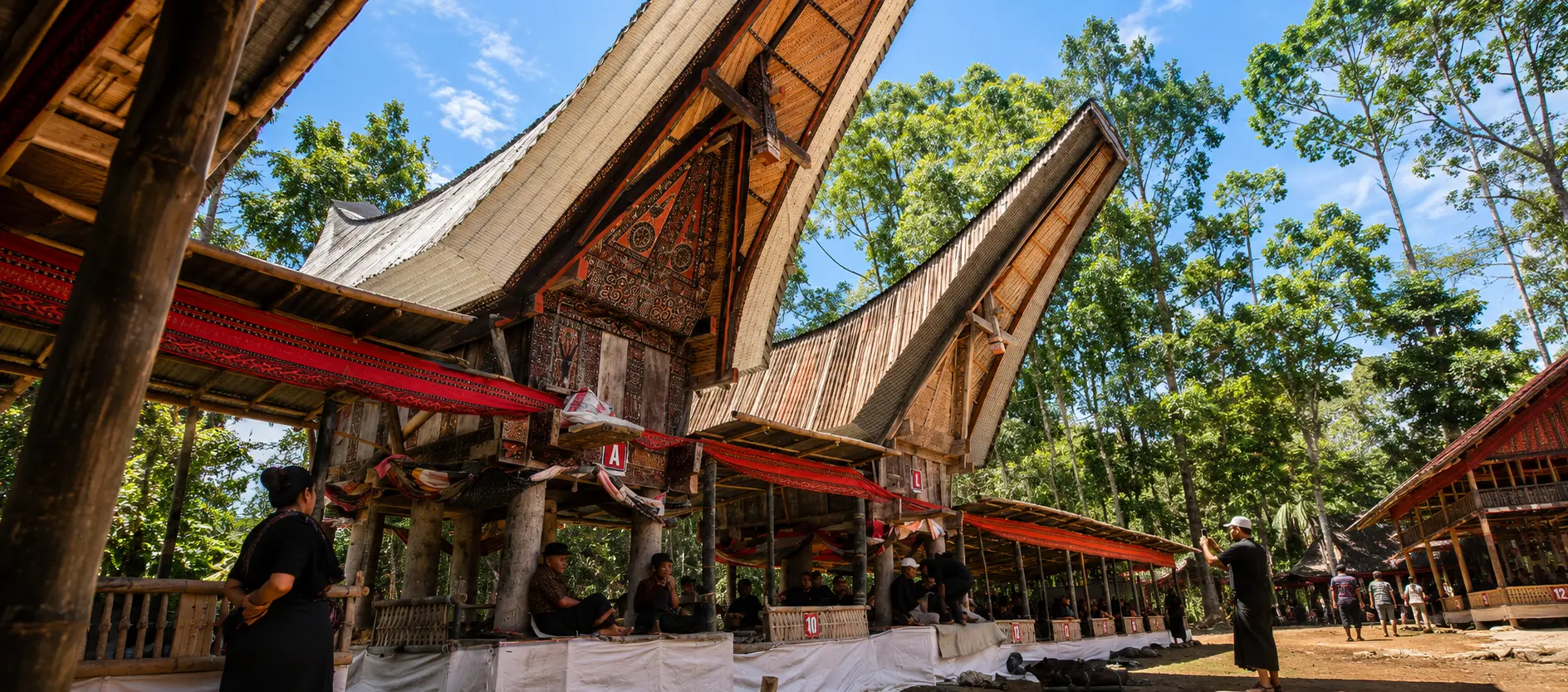 Traditional funeral ceremony at tongkonan houses, Toraja