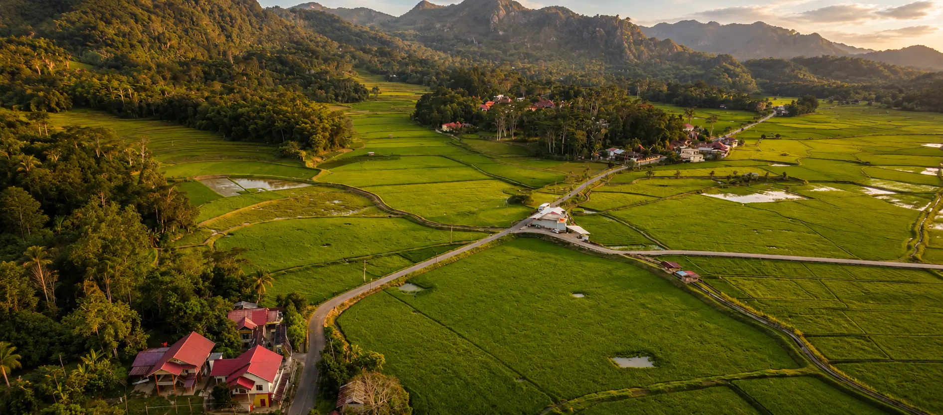 Panoramic Toraja valley rice fields, Sulawesi