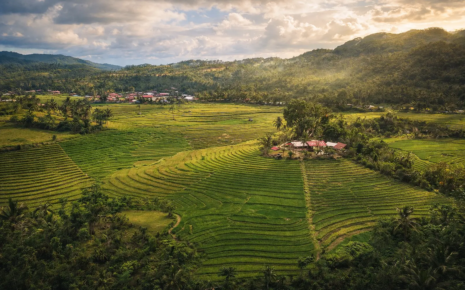 Banaue terraces