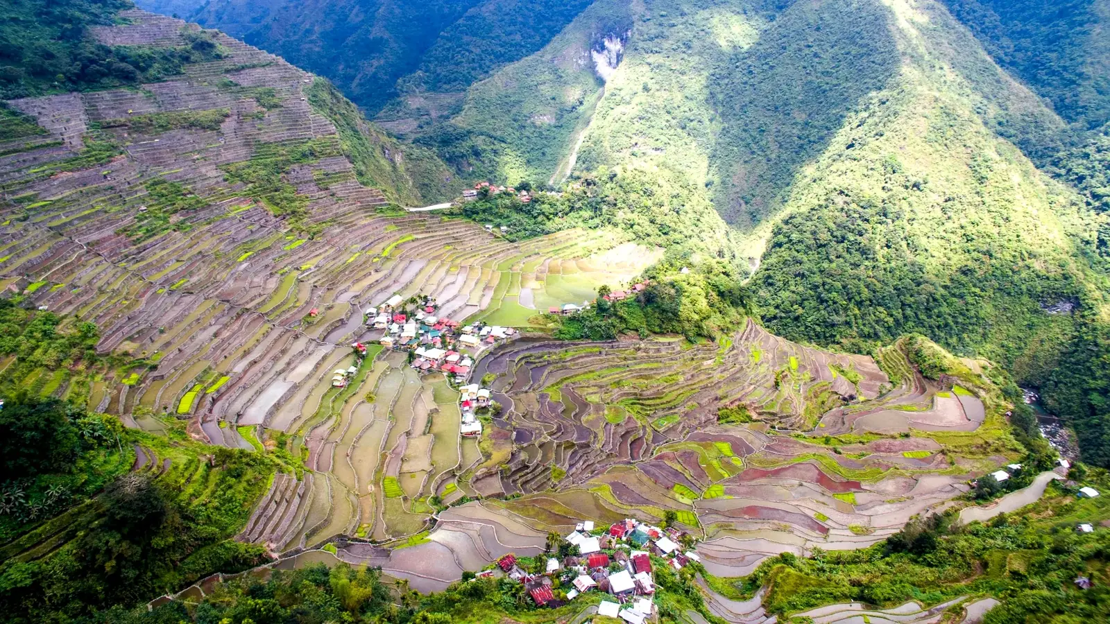 Ancient green rice terraces carved into steep mountains at Banaue