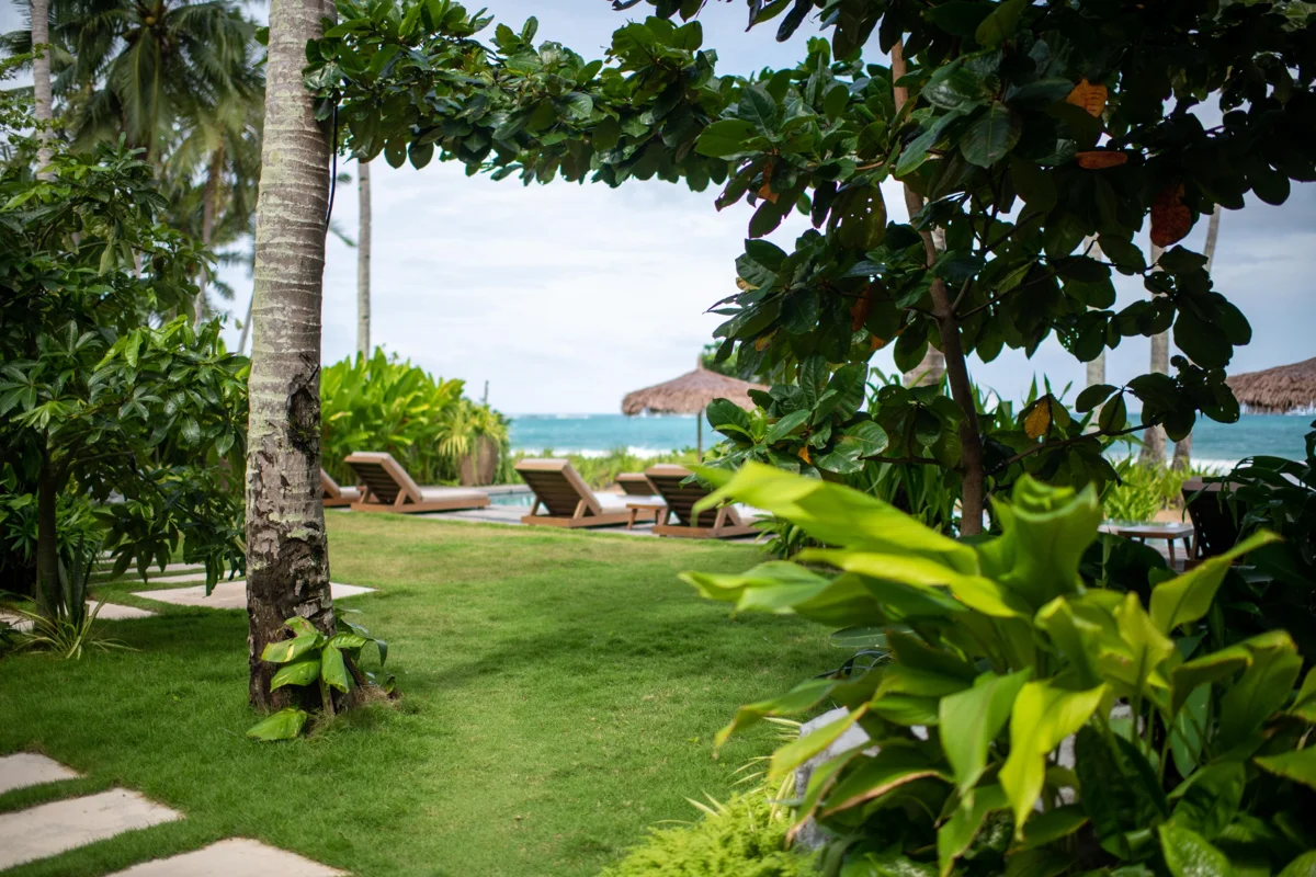 A palm-lined garden path leading through a beachfront resort