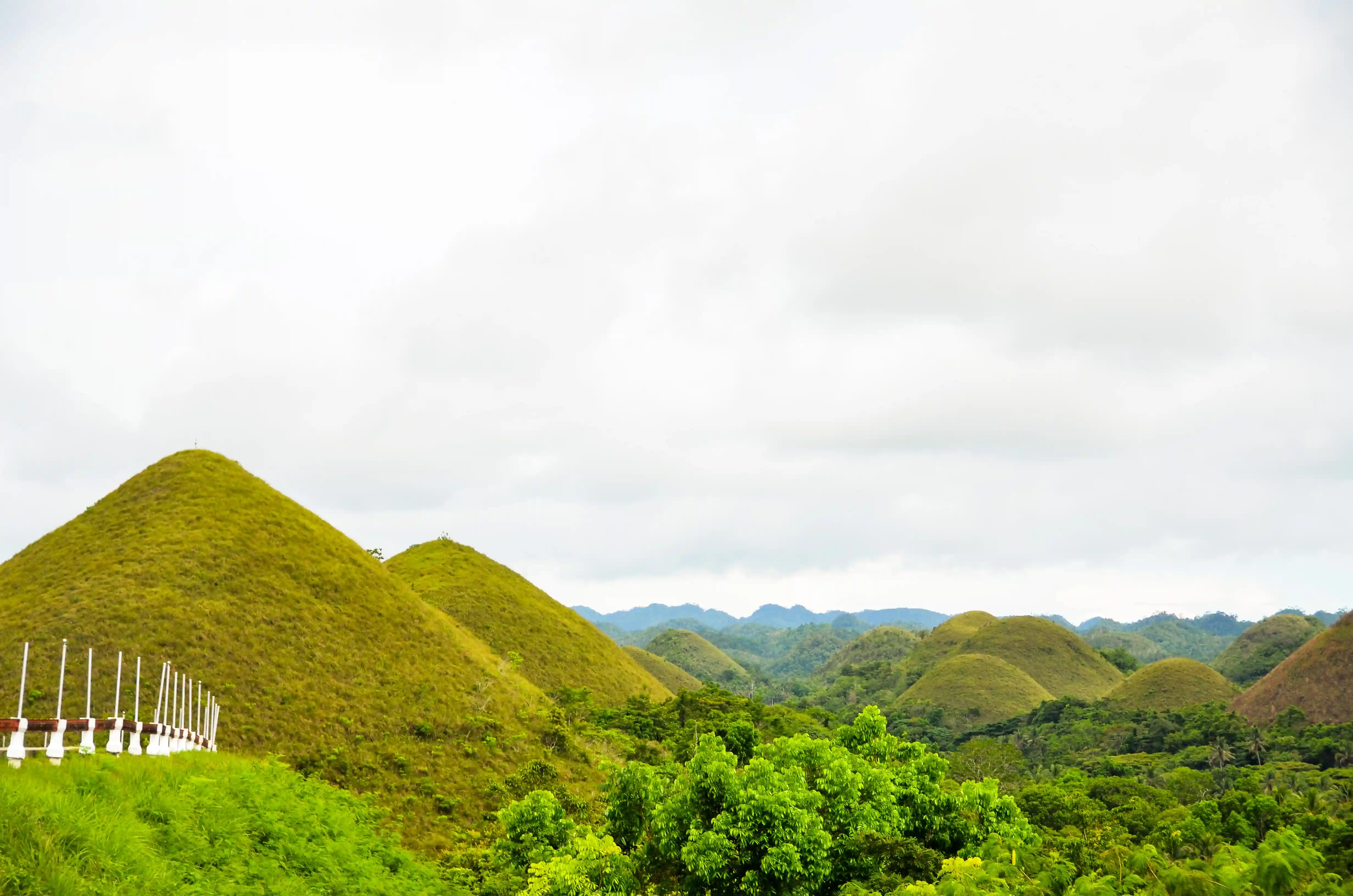 Chocolate Hills, Bohol