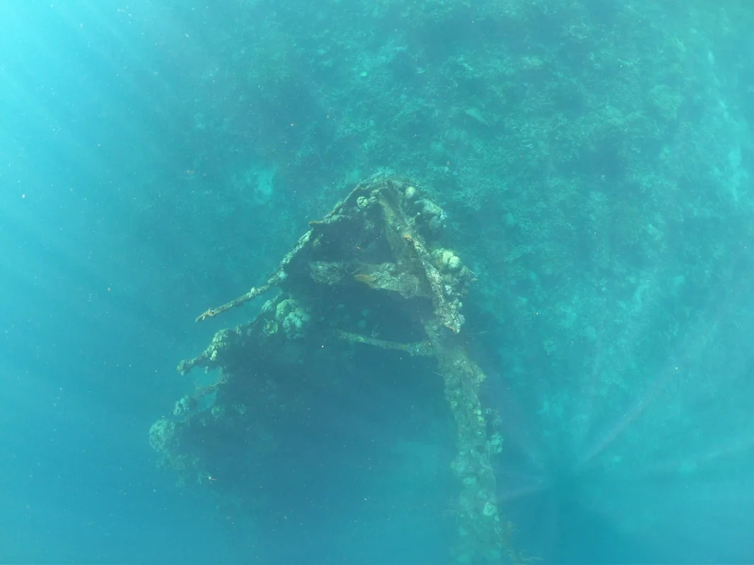 Snorkellers swimming above a WWII shipwreck in clear water near Coron