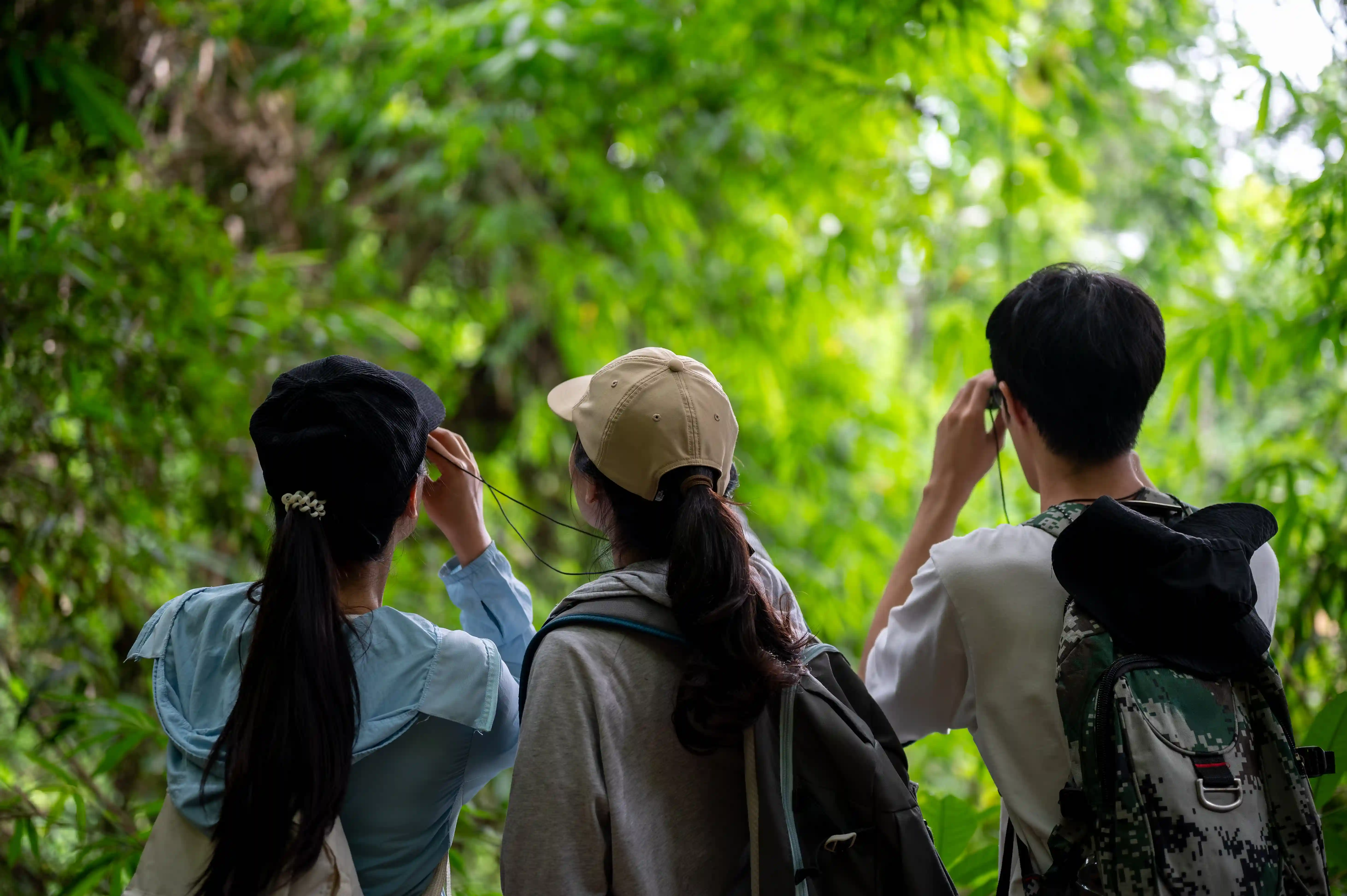 Protected tropical forest in Asia