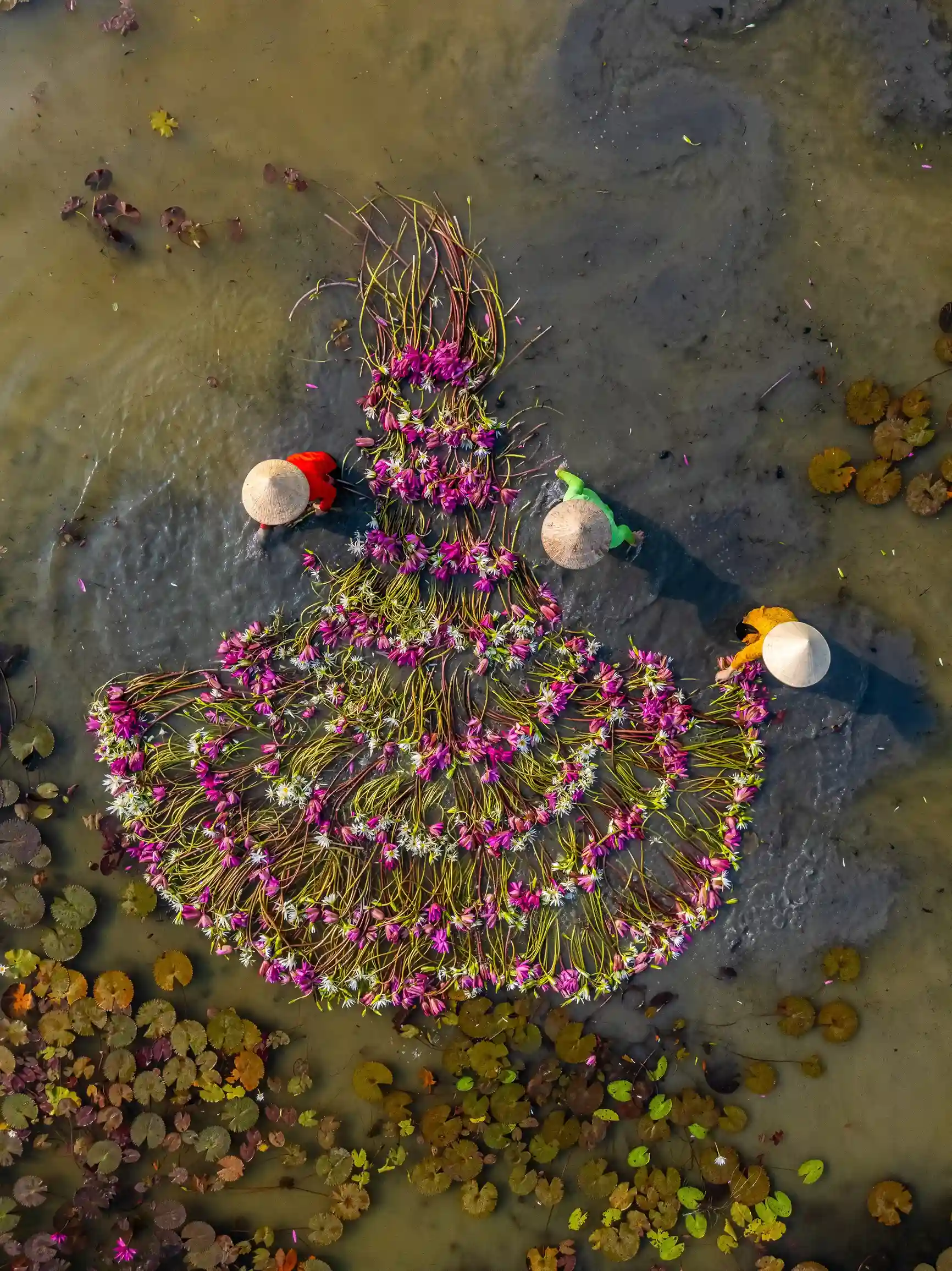Aerial view of rural women in the Mekong Delta