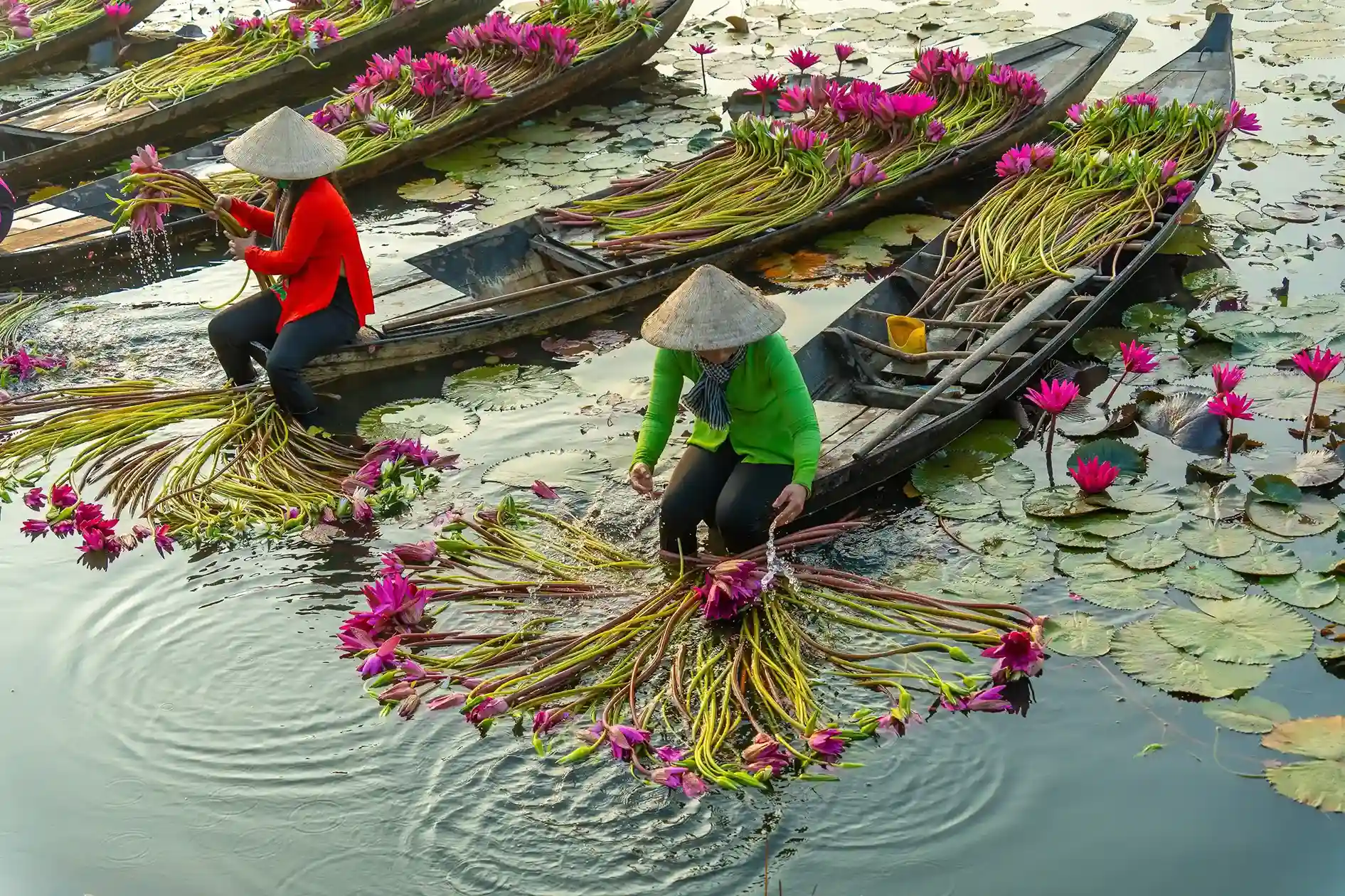 Rural women along the Mekong Delta waterways